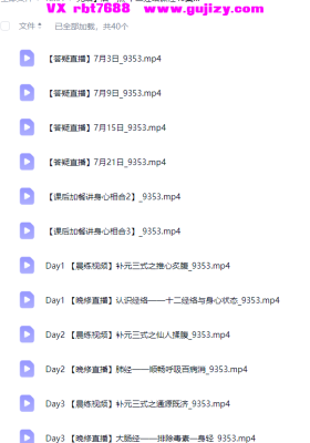 唐一杰十二经络课程40集视频💰5