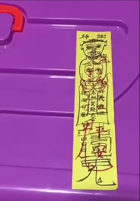 神奇发财树视频+课件💰5