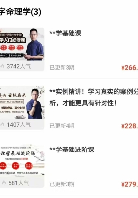 王炳森命理合集  基础➕进阶➕案例 音频合集💰5