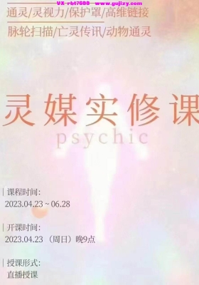 采沁力量工作室 灵媒实修课 视频带课件💰5