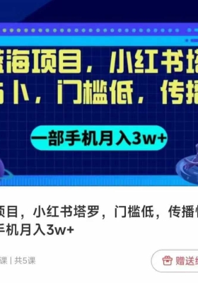 蓝海项目，小红书塔罗，门槛低，传播快，一部手机月入3w+💰5
