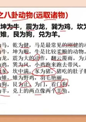 久珍老师《梅花易数》教学视频30集💰5