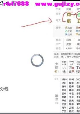卯丁易学盲派实战命例课10集视频课💰5