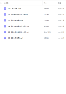 《刘恒周易四柱八字预测学》50集视频。合并为6大集💰5