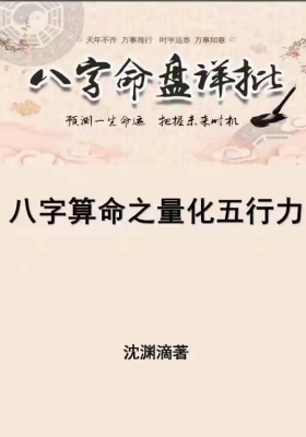 沈渊滴《八字算命之量化五行力》💰5