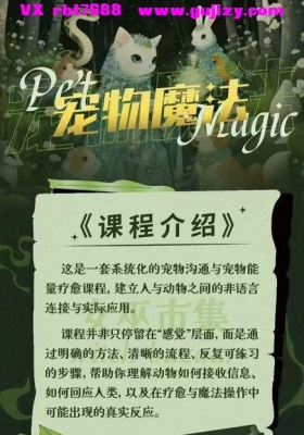 【重磅灵宠】丽华家宠物魔法 Magic 宠物沟通疗愈魔法视频音频课💰5