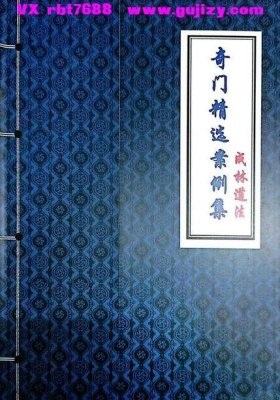 《成林道法奇门精选案例集》💰5