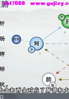知易而行 信笛老师 六爻专业课（完整版）40集 视频课💰5
