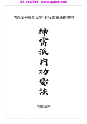 《神霄派内功雷法》💰5
