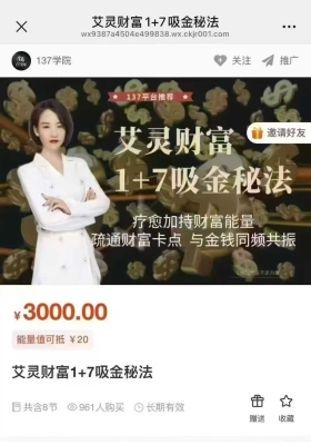 艾灵财富1+7吸金秘法视频课 💰5
