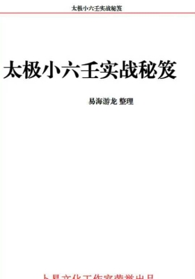 易海游龙 太极小六壬实战秘笈￥10