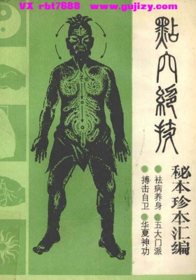《点穴绝技 秘本珍本汇编》集五大门派秘传💰5