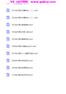 古一鸣老师亲授： 道教实用秘术课10集💰5