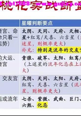 明鲸紫薇传承班16集视频课+笔记课件💰5
