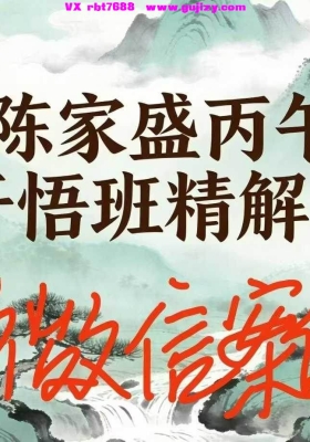 杨清娟弟子《陈家盛丙午开悟班微信案例集》高清打印版💰8