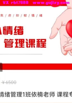 依楠老师观心情绪管理课程专栏💰8