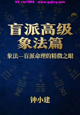 《钟小建盲派高级象法篇》💰5