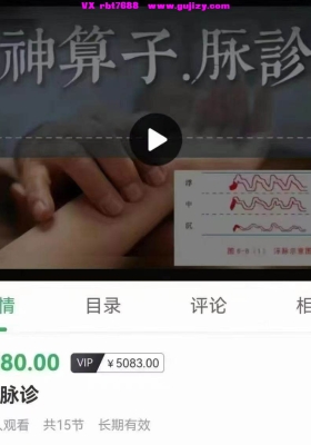 【脉诊】神算子脉诊，能量脉法，全15节视频课💰5