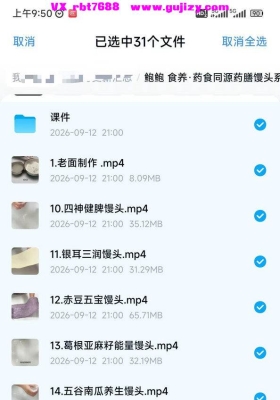 【养生】鲍鲍食养药食同源药膳馒头系列课程30节全套💰5