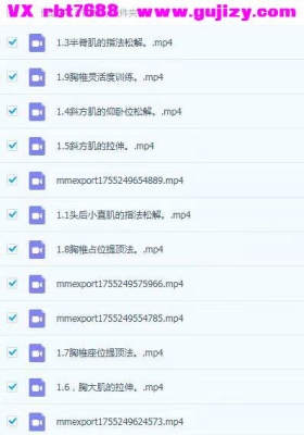 头晕专题微课2025年 视频+音频+答疑💰5