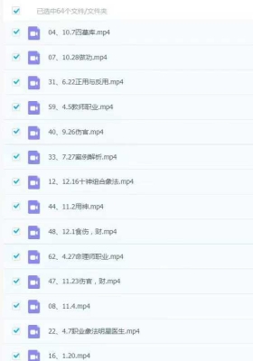 文曾盲派命理独门精华直播内训64集 视频课💰5