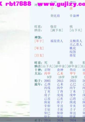 青枫老师八字预测高级班视频23集+课件💰5