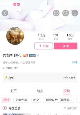 【紫微斗数】独家b站昀心紫微斗数基础➕事业篇￥5