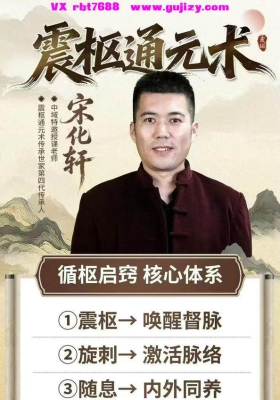 宋化轩-震枢通元术（线上课）45集视频 扁鹊中医好课推荐💰5