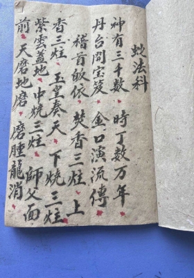 《蛇法科》💰6