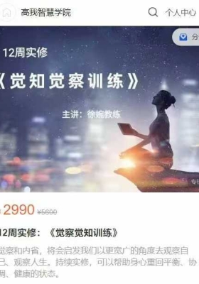 【实修】徐婉12周实修：《觉察觉知训练》音频视频22集💰5