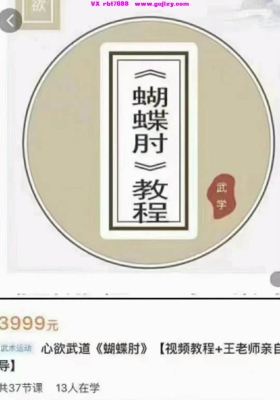 心欲武道《蝴蝶肘》视频教程原价3999元，王逸然37集视频💰5