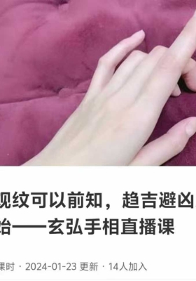 反掌观纹可以前知，趋吉避凶从手上开始6集视频课💰5