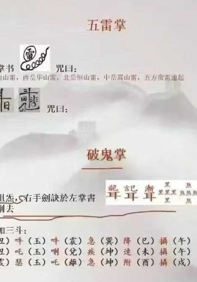 白云道长《道法合集》视频共16集💰5