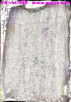 《酆之官将》💰5