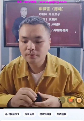 陈啸哲-快速掌握八字地支类象及使用技巧mp4 视频一节💰5