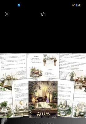 《祭坛指南》新手入门💰5