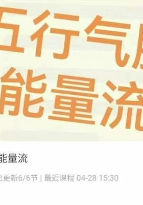 【气脉流】独家王欣五行气脉能量流 6节 视频课 💰5