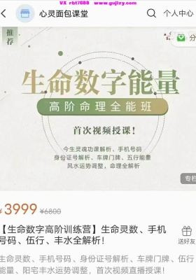 王九智《玄数高级班》教学视频36集💰5