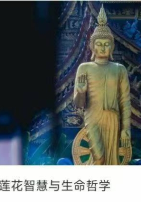莲花智慧与生命哲学68集视频 💰5