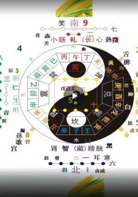 陆明老师《梅花易数》教学视频58集💰5