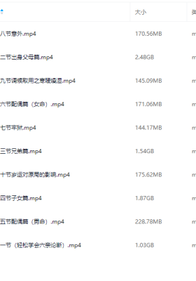 铁口南派-一期18集视频+资料、二期 10集视频+资料💰5
