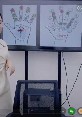 邱易芸四柱八字进阶之路之象法应用解秘，1集视频💰5