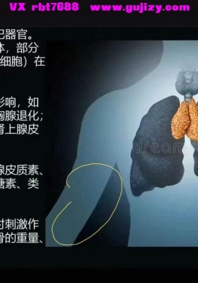 张继舫｜每日希塔冥想Theta Meditation 7个主题 7个健康保证 科学讲解 💰5