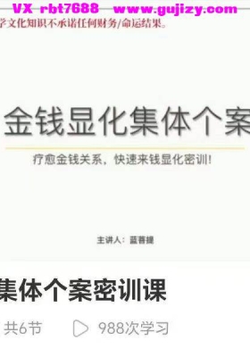 蓝菩提金钱显化集体个案密训课6集视频课——疗愈金钱关系，快速来钱显化密训💰5