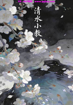 清水小教视频+课件💰5