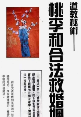 《道教秘术与符咒案例与实操、桃李和合法救婚姻、简单易懂，可实操》💰5
