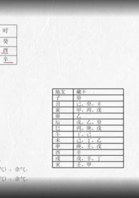道武老师八字排盘11集视频课💰5