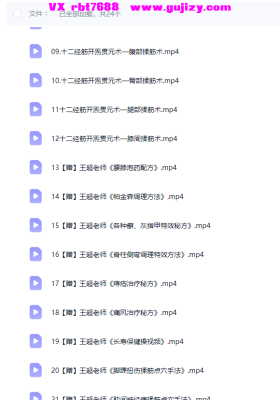 王超《国粹古法十二经筋开炁贯元术-升级版》23集💰5