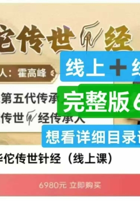 霍高峰 华佗传世针经（线上➕线下）61集视频课💰5