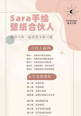 玄学变现Sara手绘壁纸合伙人秘灵空间11集视频课 💰5